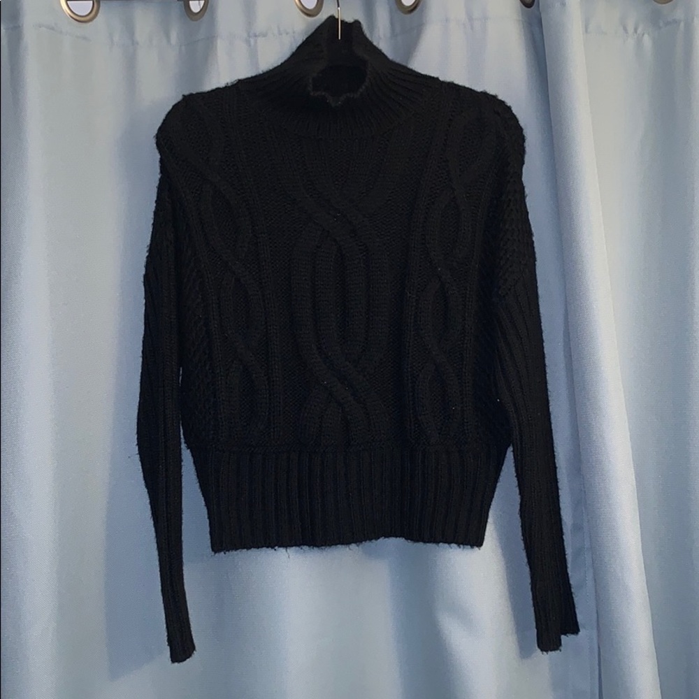 Express Cable Knit turtle neck sweater